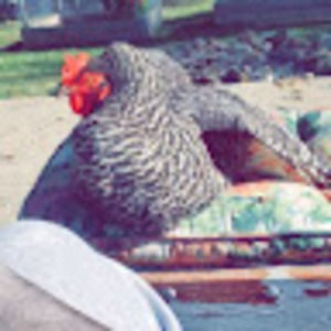 Meet your Posher, Aubri